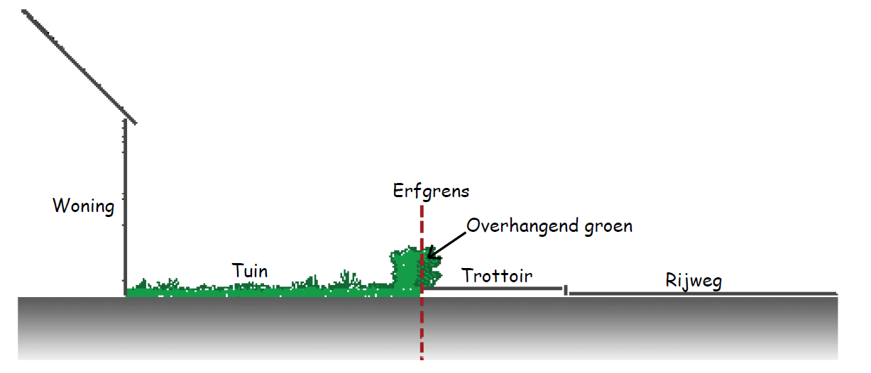 overzicht overhangend groen